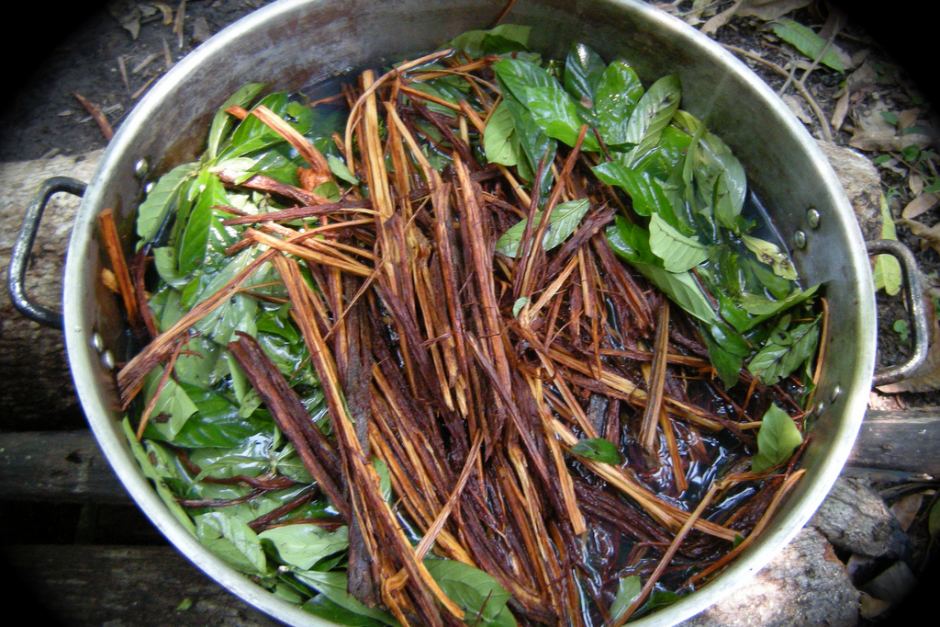 03ayahuasca