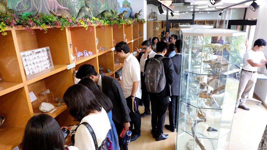 Adventist Creationist museums 